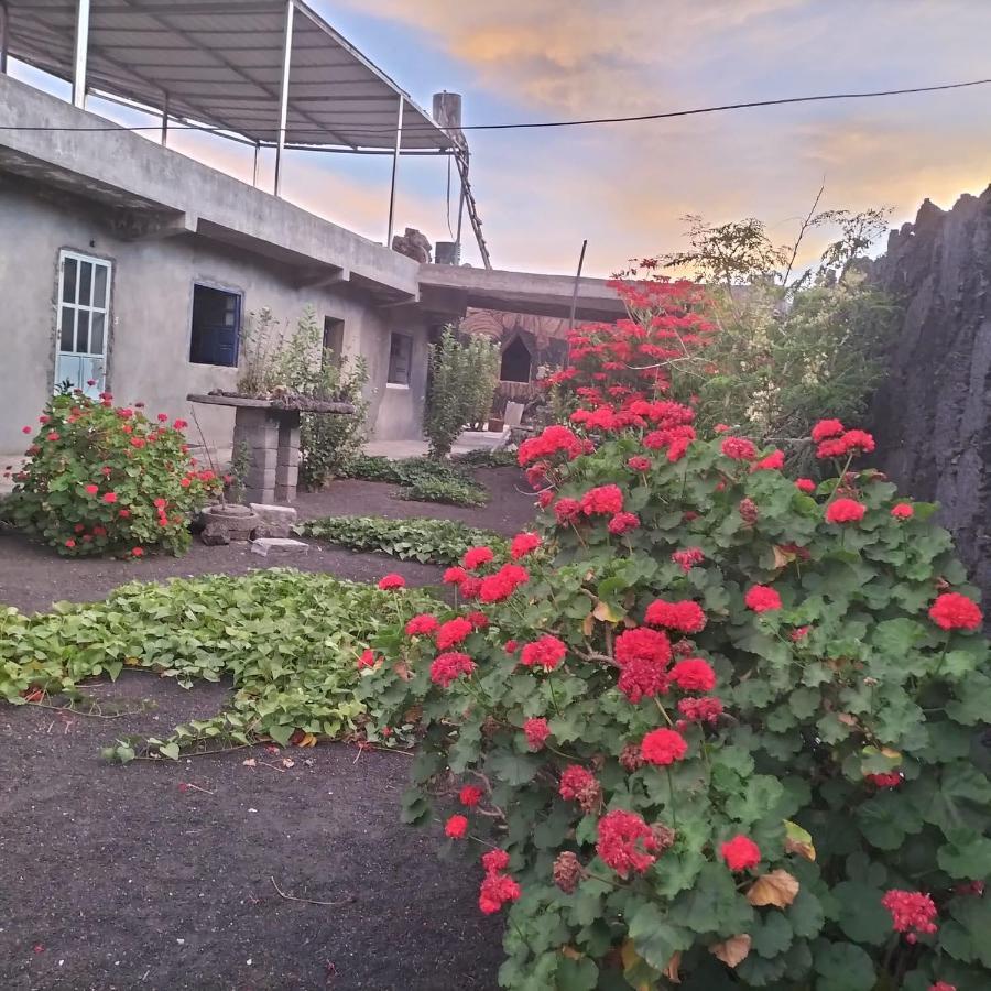 Bed and Breakfast Pensao Repouso Alegre Turismo E Aventura Portela Exterior foto